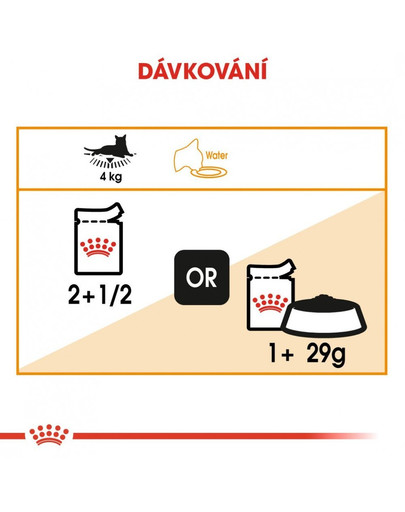 ROYAL CANIN Intense beauty v omáčce