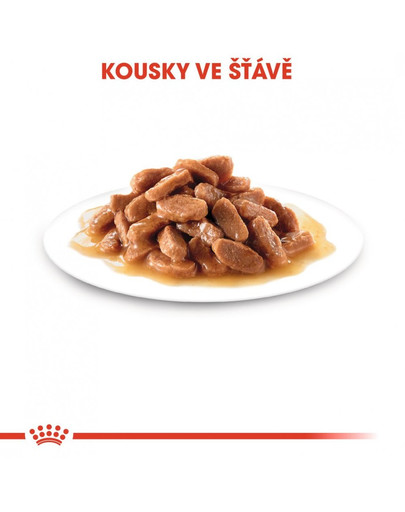 ROYAL CANIN Kitten Instinctive v omáčce