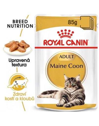 ROYAL CANIN Maine Coon Adult vlhké krmivo v omáčce pro dospělé mainské mývalí kočky