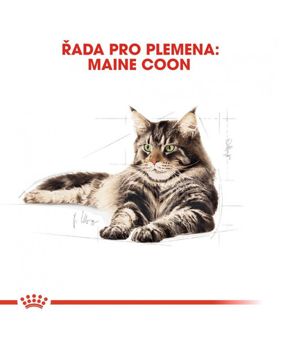 ROYAL CANIN Maine Coon Adult vlhké krmivo v omáčce pro dospělé mainské mývalí kočky