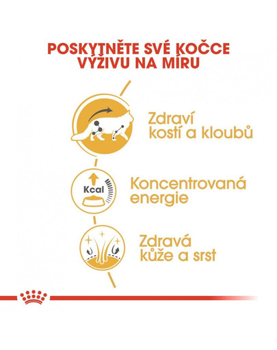 ROYAL CANIN Maine Coon Adult vlhké krmivo v omáčce pro dospělé mainské mývalí kočky