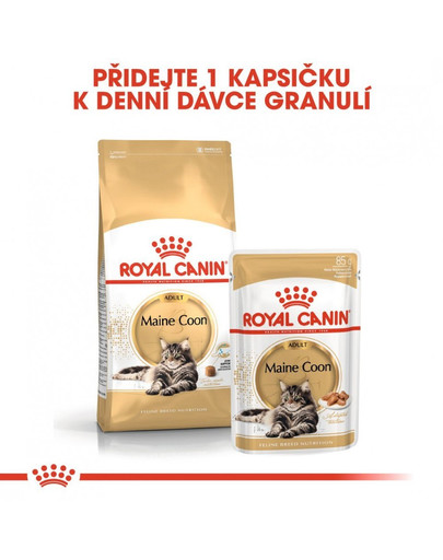 ROYAL CANIN Maine Coon Adult vlhké krmivo v omáčce pro dospělé mainské mývalí kočky