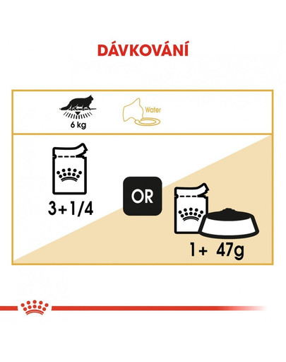 ROYAL CANIN Maine Coon Adult vlhké krmivo v omáčce pro dospělé mainské mývalí kočky