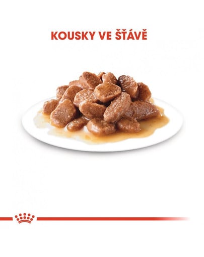 ROYAL CANIN Sterilised v omáčce