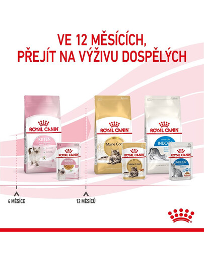 ROYAL CANIN Kitten Instinctive Jelly 85g x 12 kapsička pro koťata v želé