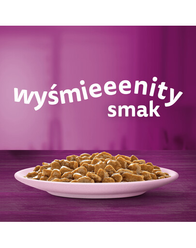 WHISKAS Adult 85g mokré krmivo pro dospělé kočky v lososové omáčce