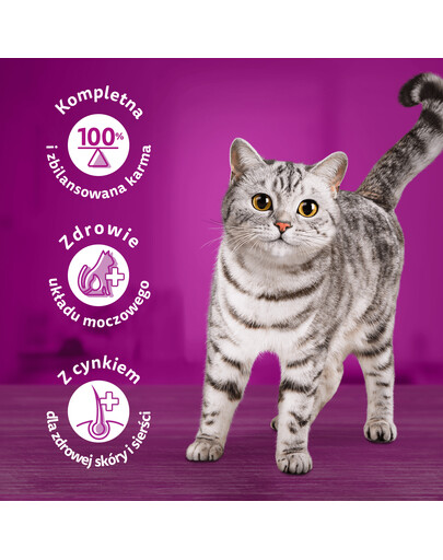 WHISKAS Adult 85g mokré krmivo pro dospělé kočky v omáčce z jehněčího a krůtího masa