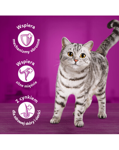 WHISKAS Adult 85g mokré krmivo pro dospělé kočky v želé s kuřecím masem