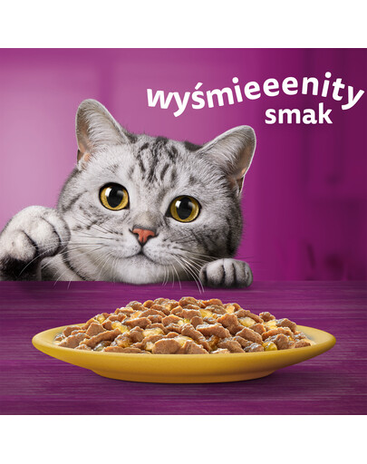 WHISKAS Adult 85g mokré krmivo pro dospělé kočky v želé s kuřecím masem
