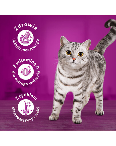 WHISKAS Adult 300g suché krmivo pro dospělé kočky s lahodným hovězím masem