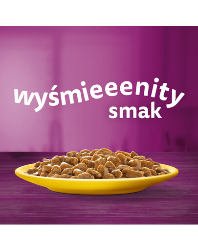 WHISKAS Adult 85 g Mokré krmivo pro dospělé kočky v omáčce s: kuřecím masem, krůtou