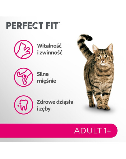 PERFECT FIT Adult 1+ Kompletní suché krmivo s vysokým obsahem hovězího masa pro dospělé kočky o hmotnosti 7 kg