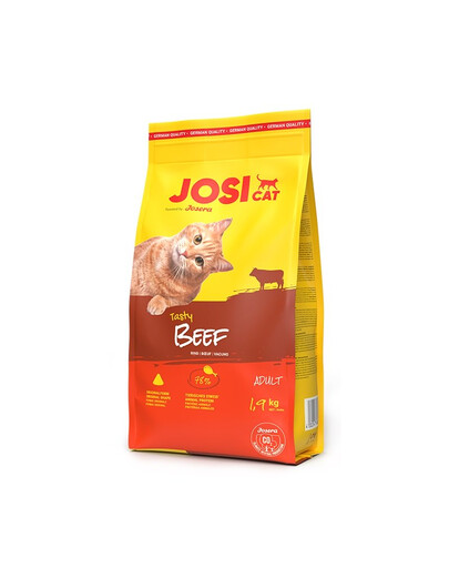 JOSERA JosiCat Tasty Beef 1,9kg s hovězím masem pro dospělé kočky