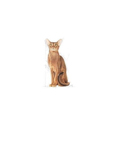 Royal Canin Feline Preference Protein Exigent 10 kg - granule pro vybíravé kočky 10 kg