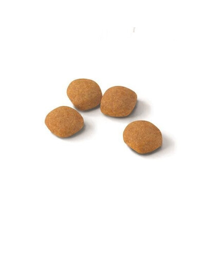 Royal Canin Feline Preference Protein Exigent 10 kg - granule pro vybíravé kočky 10 kg