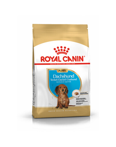 Royal Canin Dachshund Puppy 1,5 kg - granule pro štěňata a mladé jezevčíky