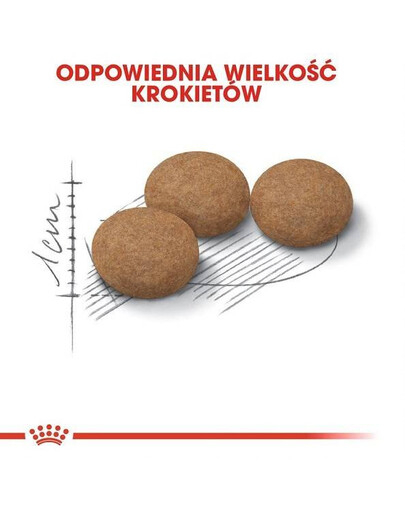 Royal Canin Ageing 12+ Sterilised 0,4 kg - granule pro starší sterilizované kočky starší 12 let 0,4 kg