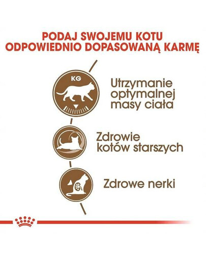 Royal Canin Ageing 12+ Sterilised 0,4 kg - granule pro starší sterilizované kočky starší 12 let 0,4 kg
