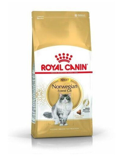 Royal Canin Norvegian Forest Cat Adult 0,4 kg granule pro dospělé kočky