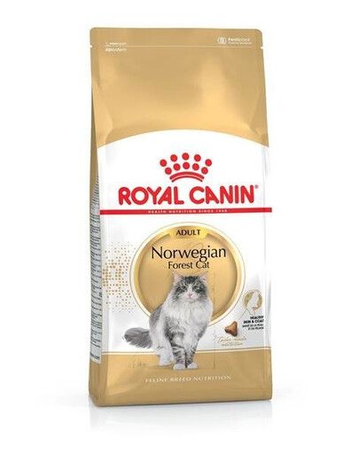 Royal Canin Adult Norwegian Forest Cat 10 kg - granule pro dospělé norské lesní kočky