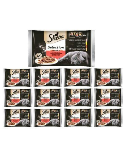SHEBA Selection in Sauce mokré krmivo pro kočky s hovězím, jehněčím, kuřecím, krůtím masem 52x 85 g