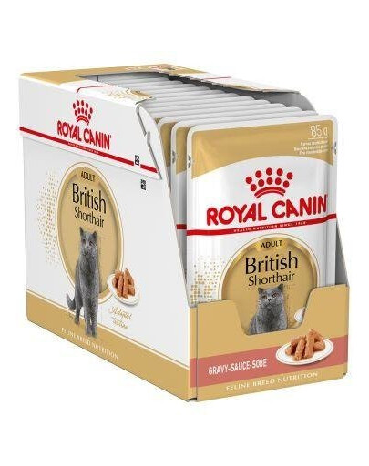 Royal Canin Adult British Shorthair kapsičky pro kočky v omáčce 12x 85g