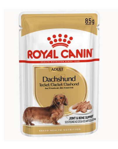 Royal Canin kapsička pro dospělé jezevčíky 85 g