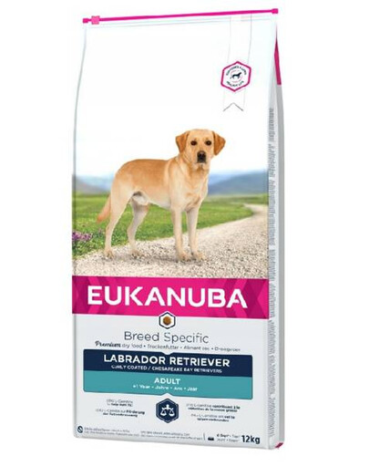 Eukanuba Dog Dry Breed Specific All Labrador Retriever Chicken 12 kg - granule pro psy