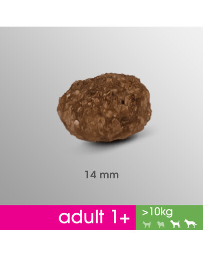 Perfect Fit Adult 1+ Rich in Chicken M/L 825 g granule pro dospělé psy středních a velkých plemen 825 g