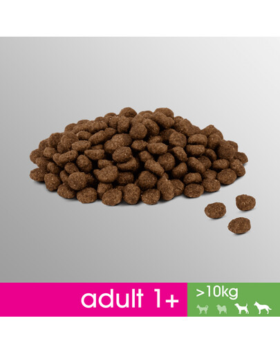 Perfect Fit Adult 1+ Rich in Chicken M/L 825 g granule pro dospělé psy středních a velkých plemen 825 g