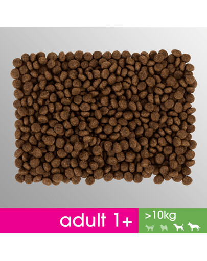 Perfect Fit Adult 1+ Rich in Chicken M/L 825 g granule pro dospělé psy středních a velkých plemen 825 g