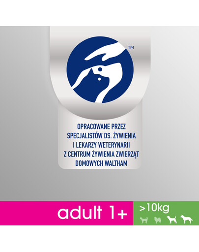 Perfect Fit Adult 1+ Rich in Chicken M/L 825 g granule pro dospělé psy středních a velkých plemen 825 g