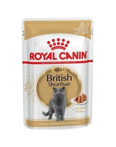 Royal Canin Adult British Shorthair 85 g kapsička pro dospělé kočky