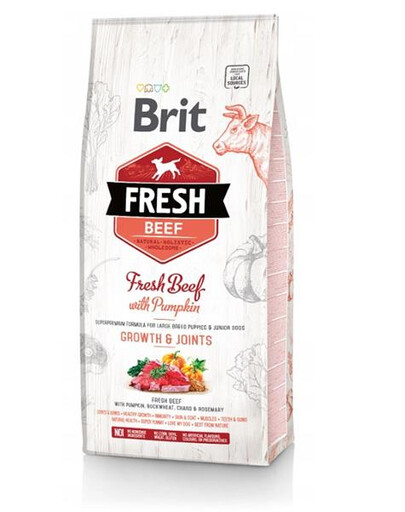 BRIT Fresh beef with pumpkin puppy large granule pro štěňata s hovězím masem a dýní 2,5 kg