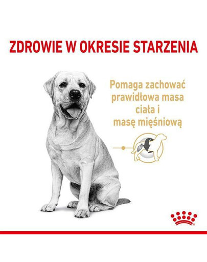 Royal Canin Labrador 5+, 12 kg - granule pro dospělé labradorské psy