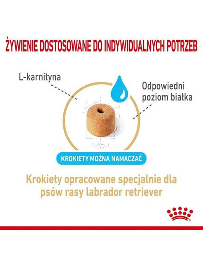 Royal Canin Labrador 5+, 12 kg - granule pro dospělé labradorské psy