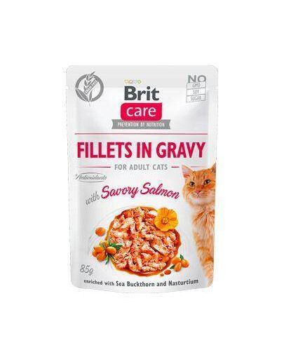 BRIT Care filety ve slané omáčce z lososa 24x 85 g filetů z lososa v omáčce