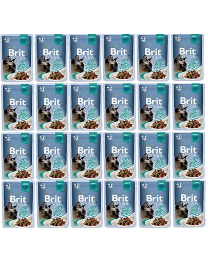 BRIT Premium filety v kapsičkách z hovězího masa Gravy pro kočky 24x 85 g