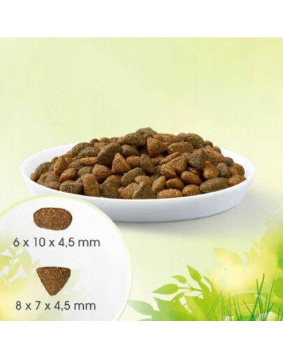 Perfect Fit™ Natural Vitality - granule pro dospělé kočky
