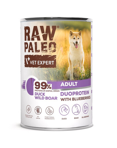 RAW PALEO Duck Boar Adult 400g Mokré krmivo pro psy s kachnou a divočákem