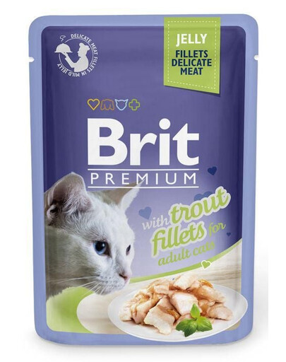 BRIT Premium Cat  Fillets in Jelly mokré krmivo se pstruhy pro kočky 24x85 g