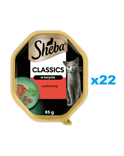 SHEBA Classics 22x85 g kompletní krmivo pro dospělé kočky s hovězím masem v paštice