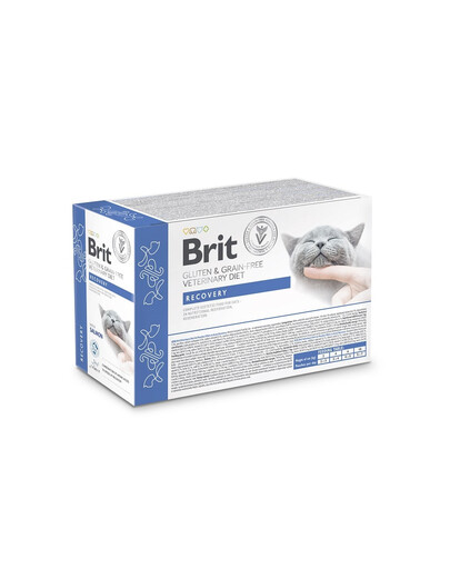 BRIT Veterinary Diet Grain Free Recovery Cat Fillets in Gravy Salomon 12x85g