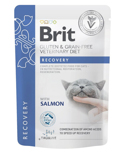 BRIT Veterinary Diet Grain Free Recovery Cat Fillets in Gravy Salomon 12x85g