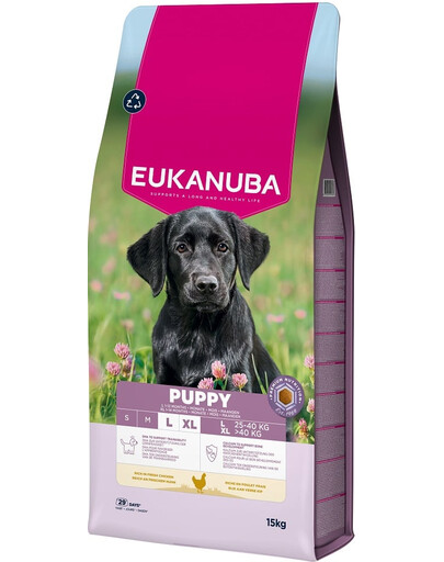 EUKANUBA Puppy Large Breeds Chicken 15 kg suché krmivo pro štěňata velkých plemen, bohaté na čerstvé kuřecí maso
