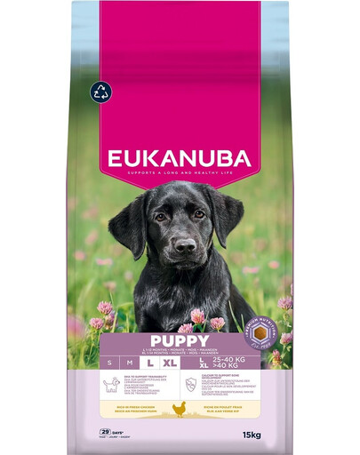 EUKANUBA Puppy Large Breeds Chicken 15 kg suché krmivo pro štěňata velkých plemen, bohaté na čerstvé kuřecí maso