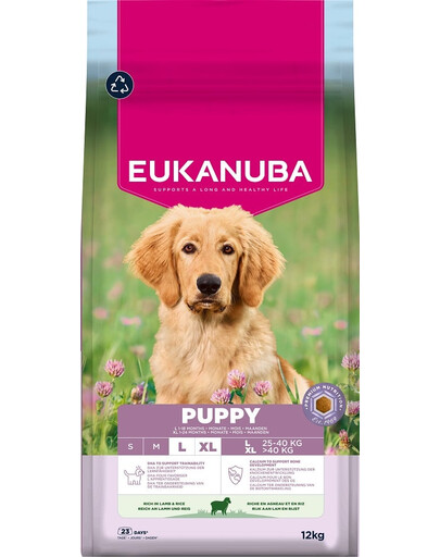 EUKANUBA Puppy Large Breeds Lamb Rice 12 kg suché krmivo pro štěňata velkých plemen, bohaté na jehněčí maso a rýži