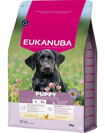 EUKANUBA Puppy Large Breeds Chicken 3 kg suché krmivo pro štěňata velkých plemen, bohaté na čerstvé kuřecí maso