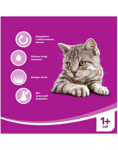 ROYAL CANIN Instinctive +7 v omáčce- různé velikosti