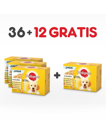 PEDIGREE Pedigree Junior kapsička 48x100g